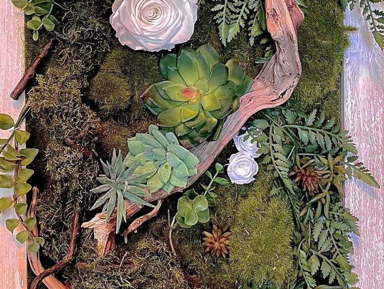 photo ../rubriques/260/397/p0/moyennes/4.jpg